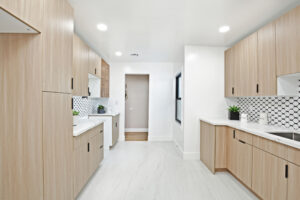 Kitchen_3_-1783764540.JPG
